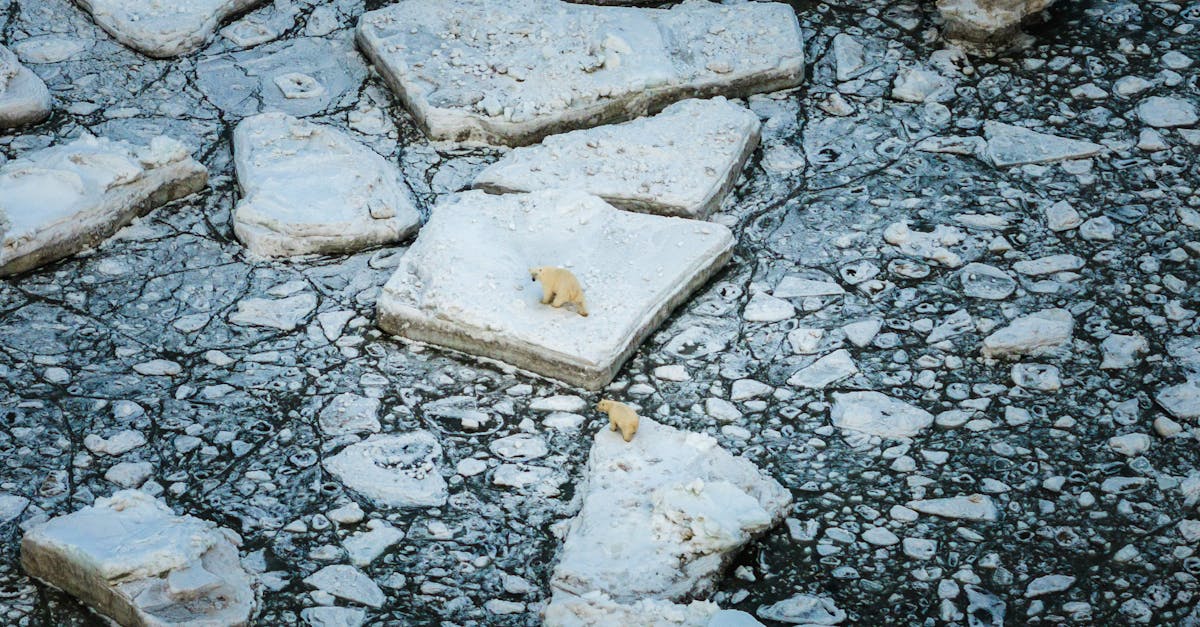 環境部首發綠生活行動指引 教全民實踐淨零轉型