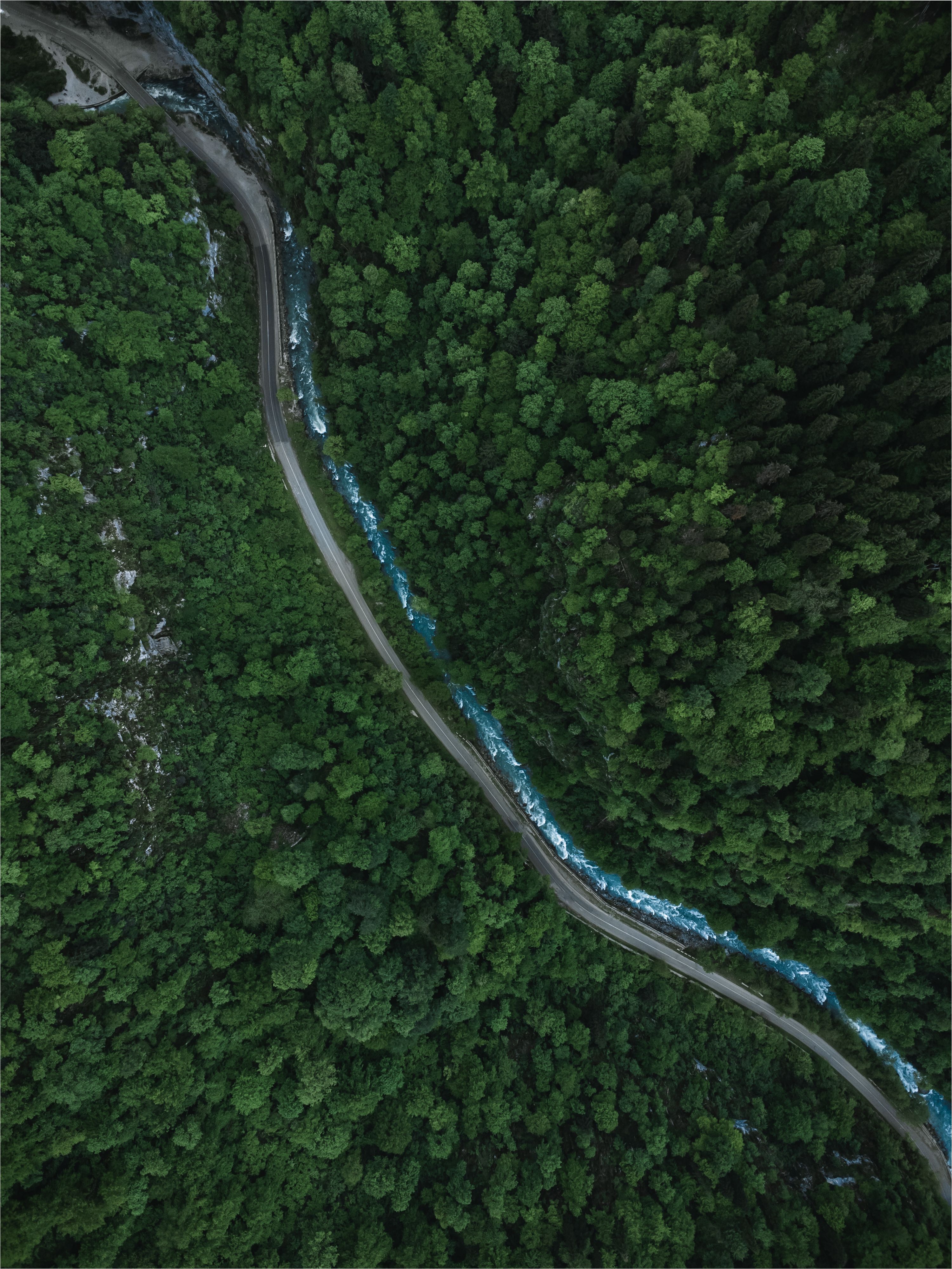 Stunning aerial shot capturing a vibrant green forest and winding river in Abkhazia.