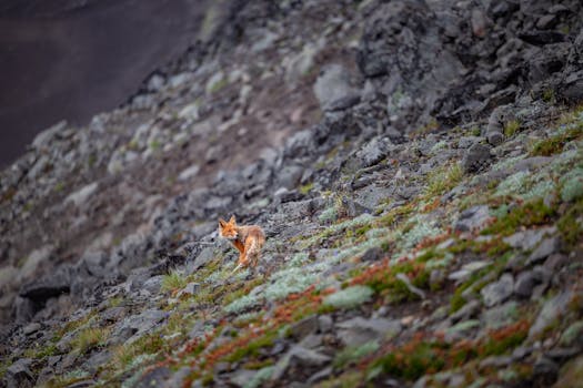 Photo by Dmitriy Ryndin