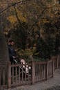 Father Pushing Baby Stroller in Autumn Park