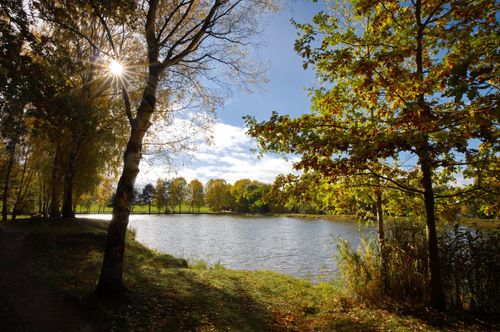 Free Sunlit autumn forest with a calm pond and vibrant foliage, perfect for serene nature settings. Stock Photo