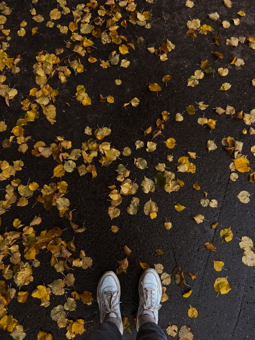 Free Person standing on wet asphalt covered with autumn leaves, wearing white sneakers. Stock Photo