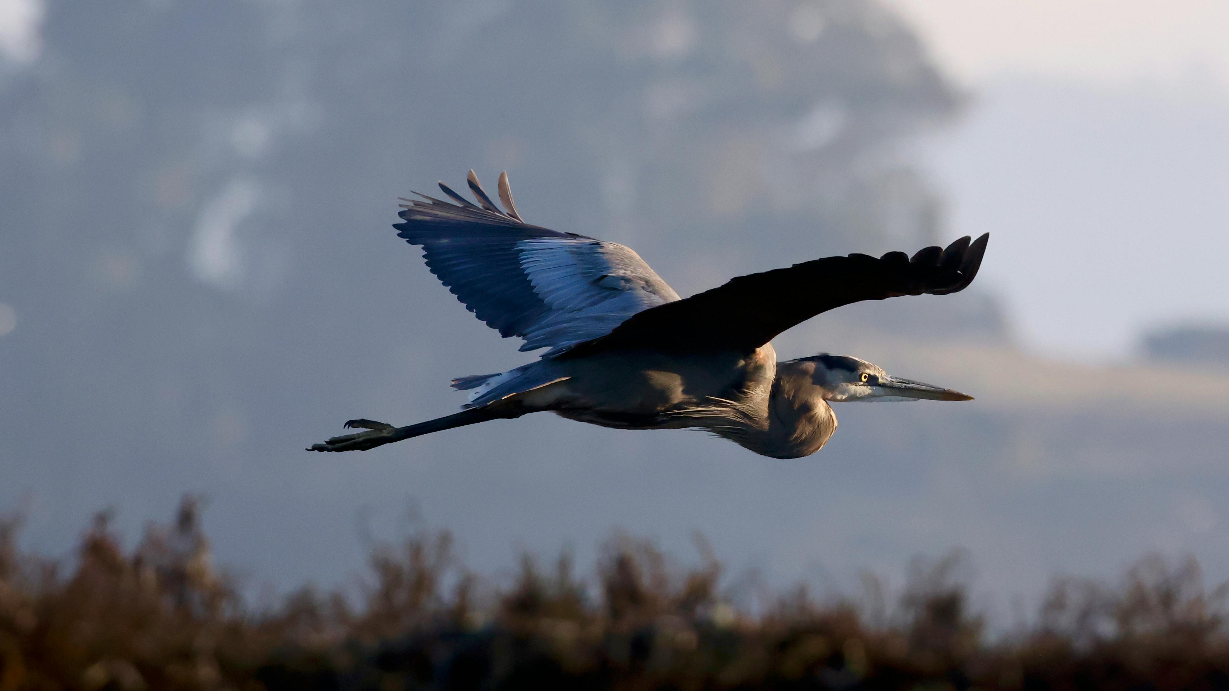 政治學家莫瑞的信仰回歸之路：思想與靈性的融合