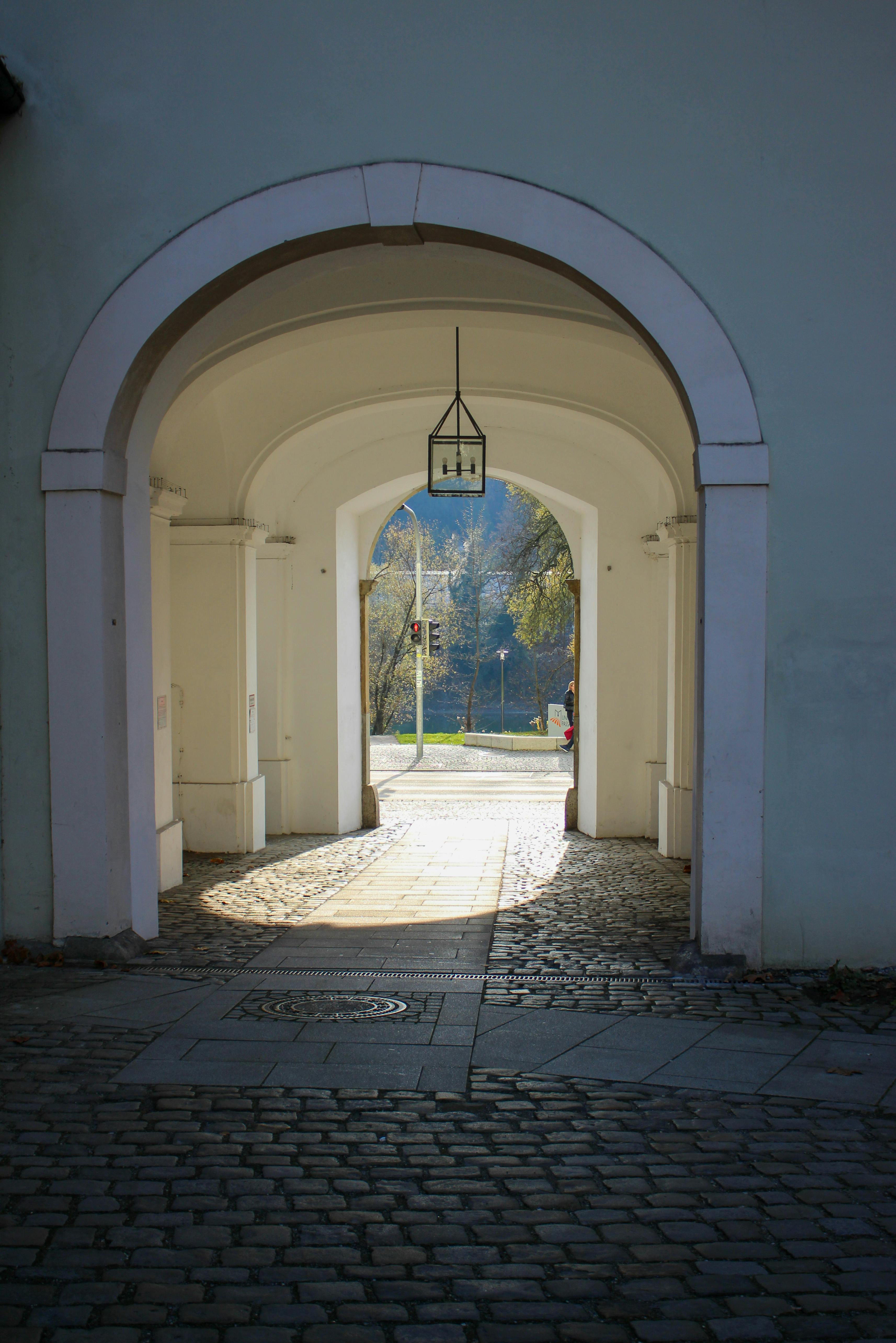 Bayer Termite Control