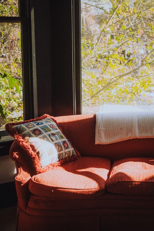 Free Warm sunlit red sofa near a window offering a pleasant view of leafy green trees. Stock Photo