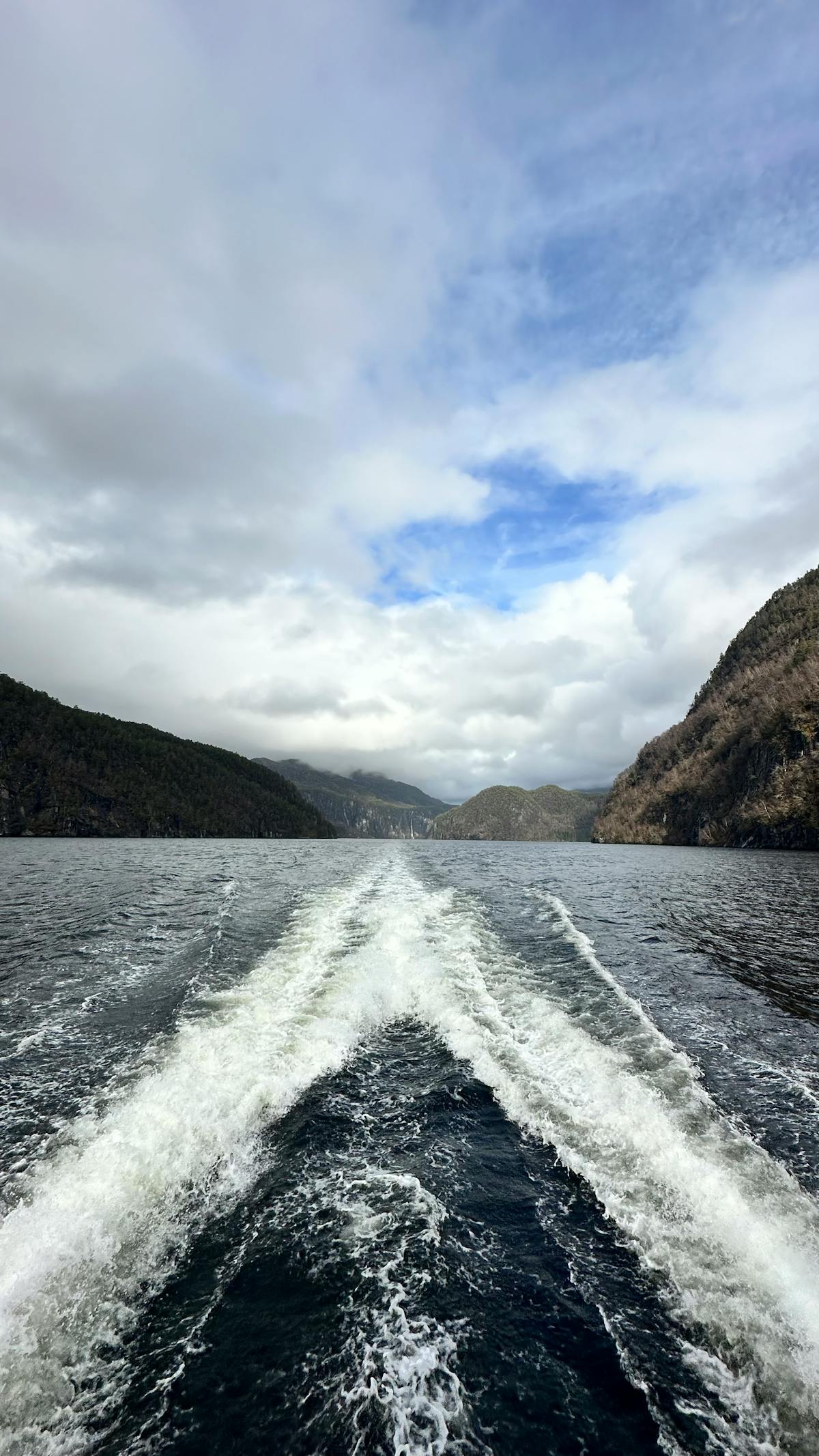 Wake Wake Teto Photos Download The BEST Free Wake Wake Teto Stock