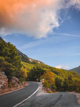 Curving mountain road surrounded by lush trees and vibrant fall colors under a bright sky.