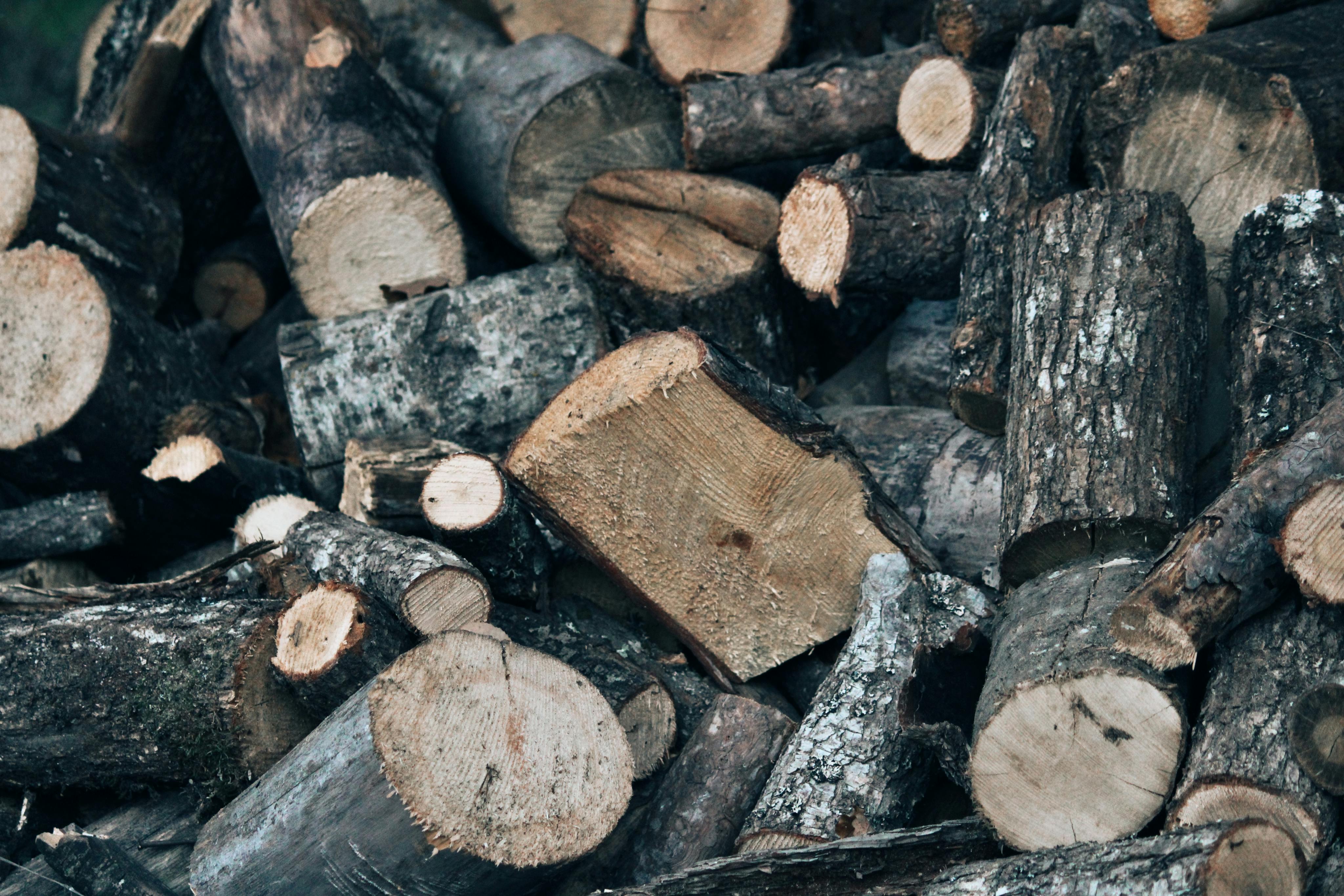 環境部首發綠生活行動指引 教全民實踐淨零轉型