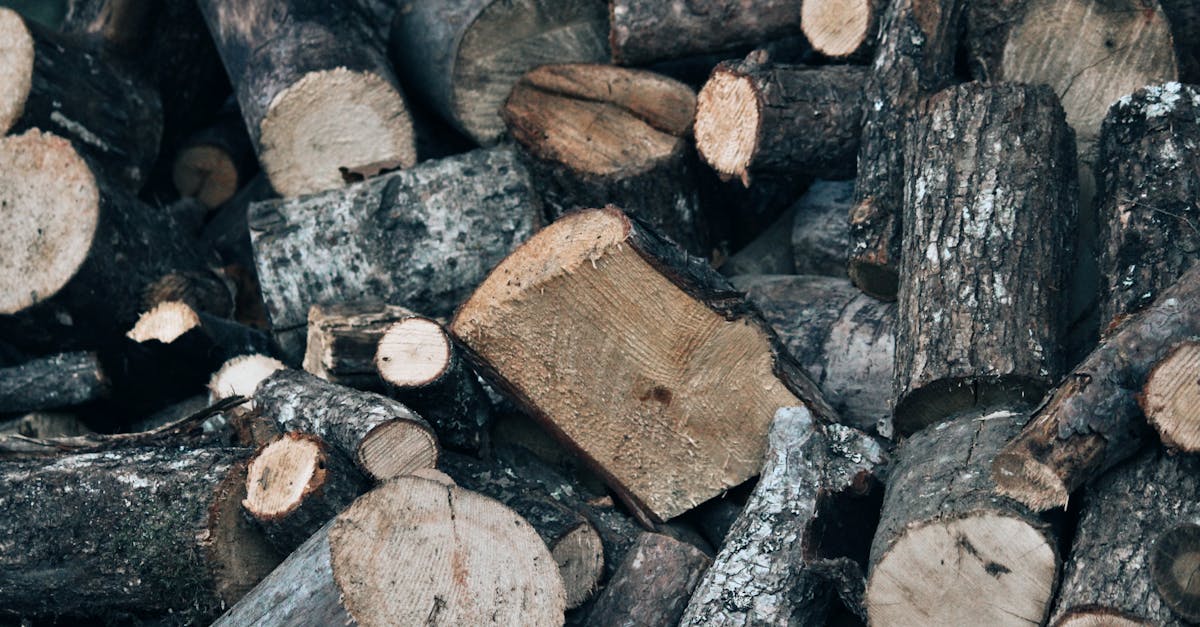 環境部首發綠生活行動指引 教全民實踐淨零轉型