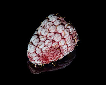 Detailed macro shot of a single frozen raspberry with frost, captured on a black reflective surface.