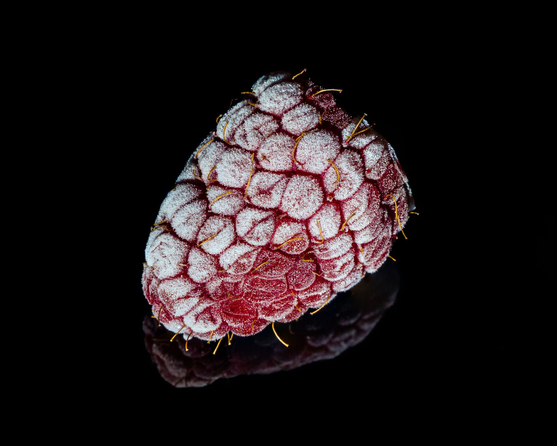 Frosted Raspberry Color Close-up of a Frosted Raspberry on Black Background · Free Stock Photo
