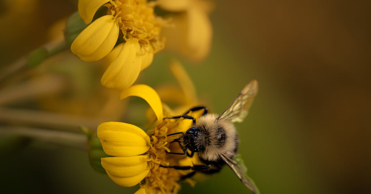 環境部首發綠生活行動指引 教全民實踐淨零轉型