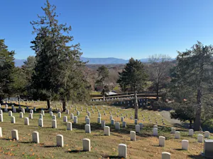 Solusi manfaat, Solusi murah