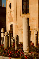 Solusi 2025, Solusi murah