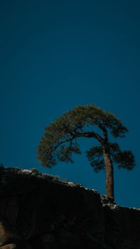 Image by Alex Ning