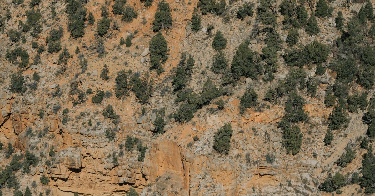 A closer look at Rocky Canyon Landscape Architecture 2023