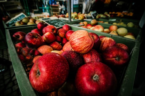 Kostnadsfri bild av äpplen, bås, färsk