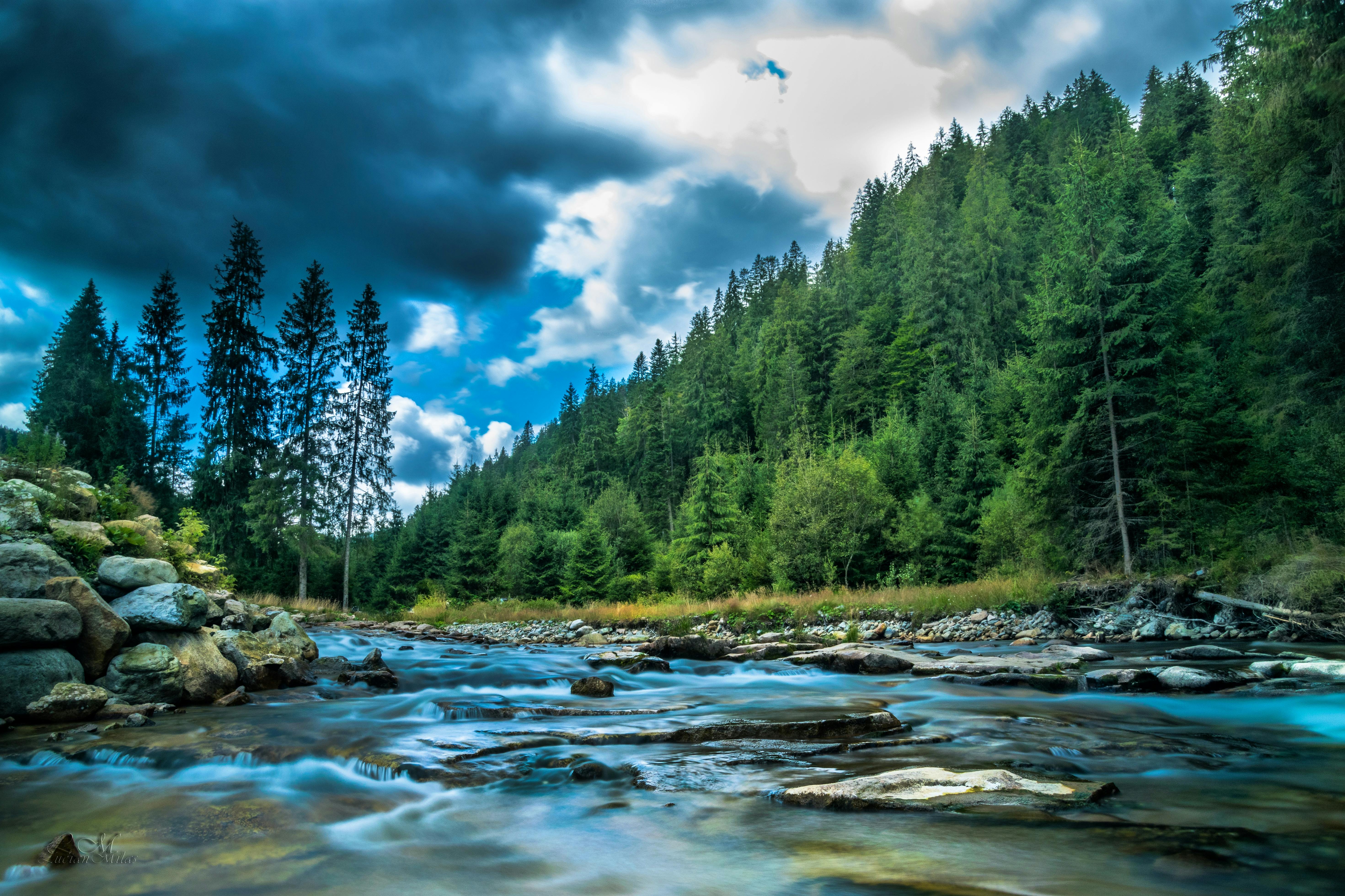 Timelapse Photography of Wooden Bridge Near Body of Water · Free Stock