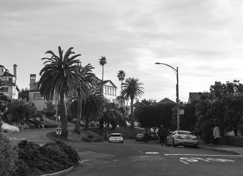 Free Monochrome urban street scene featuring palm trees and residential buildings with parked cars. Stock Photo