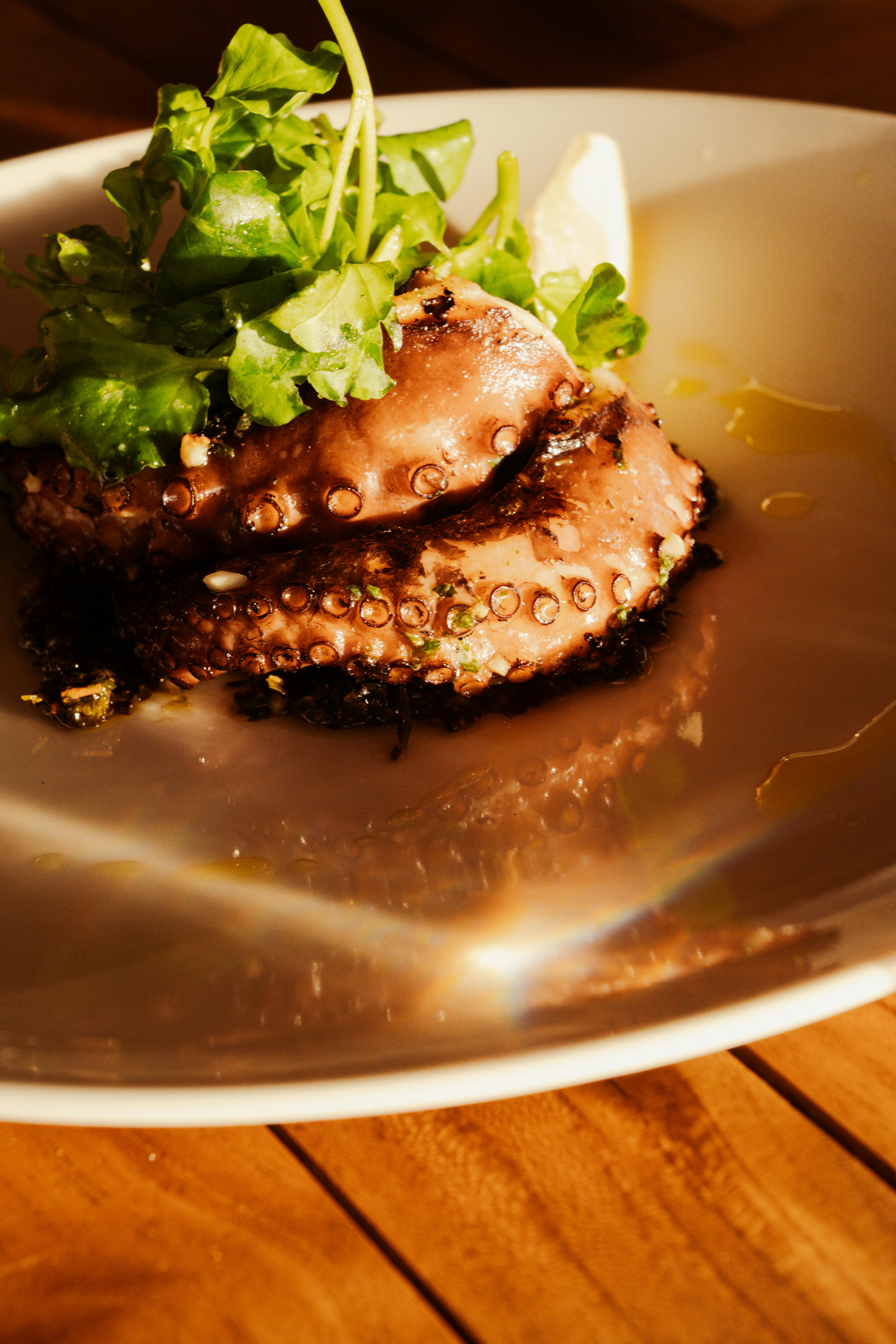 Government policy announcement and public communication