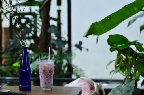 Free Chilled berry smoothie in a glass beside a blue bottle, surrounded by lush green plants. Stock Photo