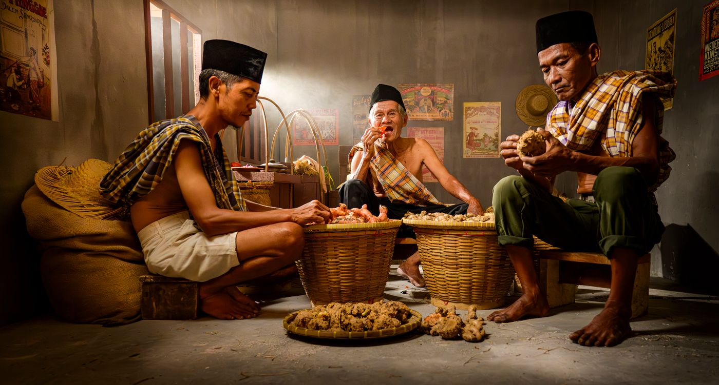 วิธีปลูกขิงสำหรับมือใหม่: เตรียมดิน น้ำ ปุ๋ย และดูแลให้ได้ผลผลิต