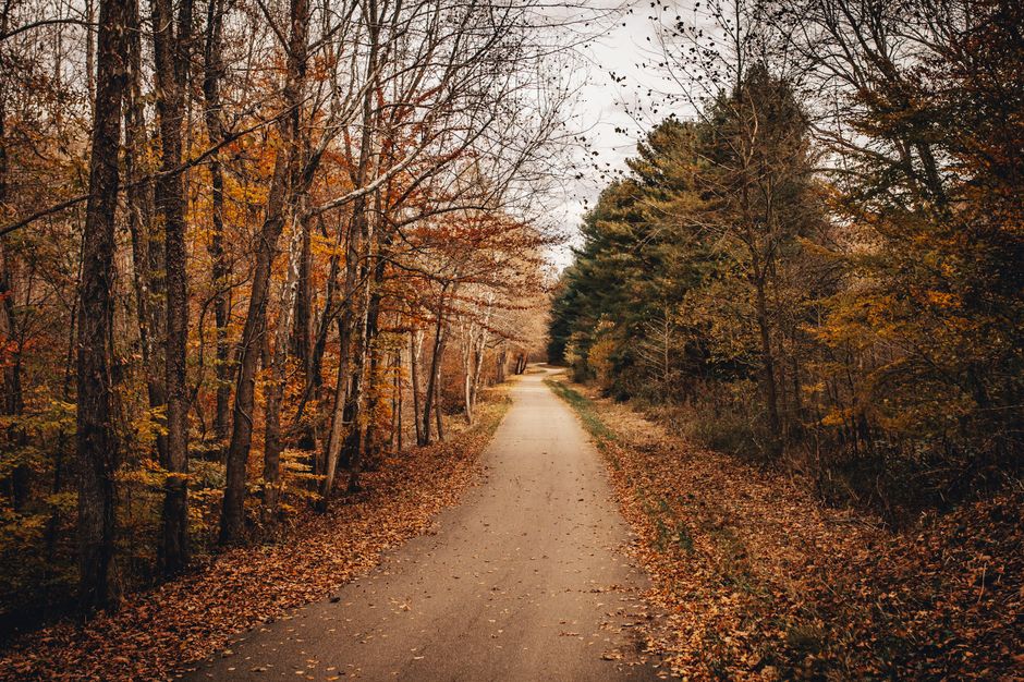 A picturesque country road in Ohio surrounded by vibrant autumn foliage.