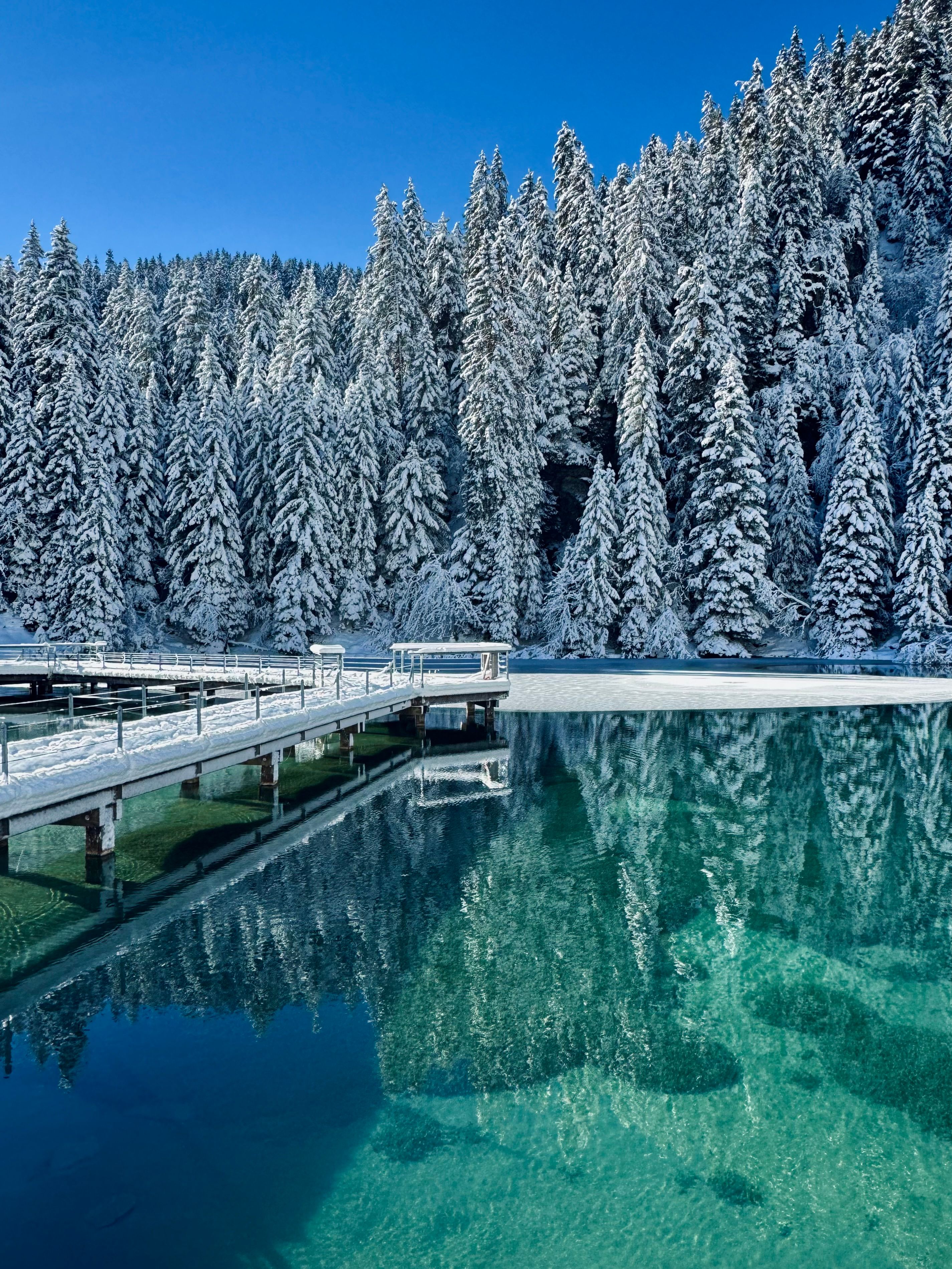 The Courchevel Guide. Courchevel 1850. The most concentrated kilometre of luxury in the Alps, with more Michelin stars than any other ski resort on earth.