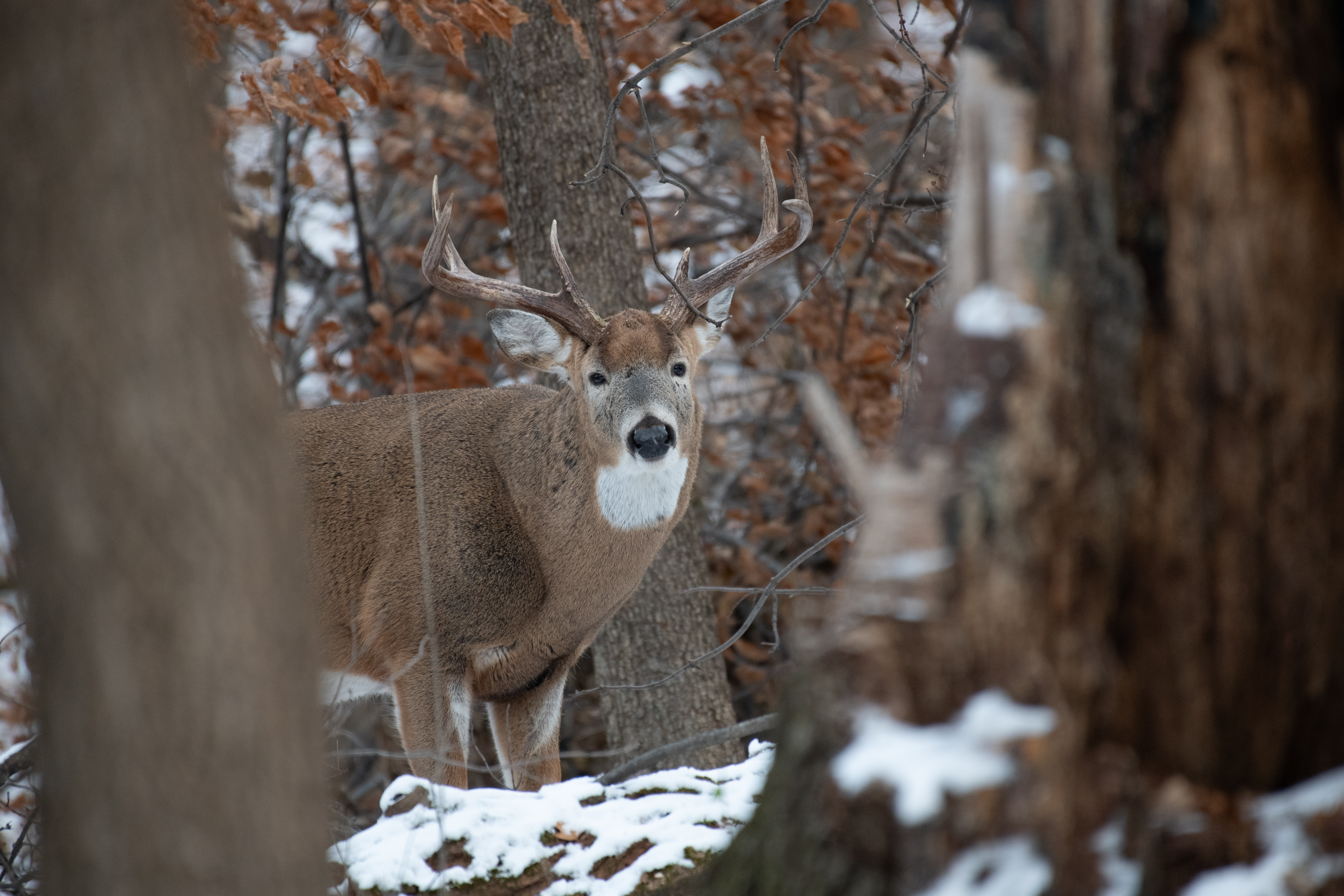 All-Canada Show promotes hunting, fishing and outdoor adventure — Photo by Andrew Patrick Photo on Pexels