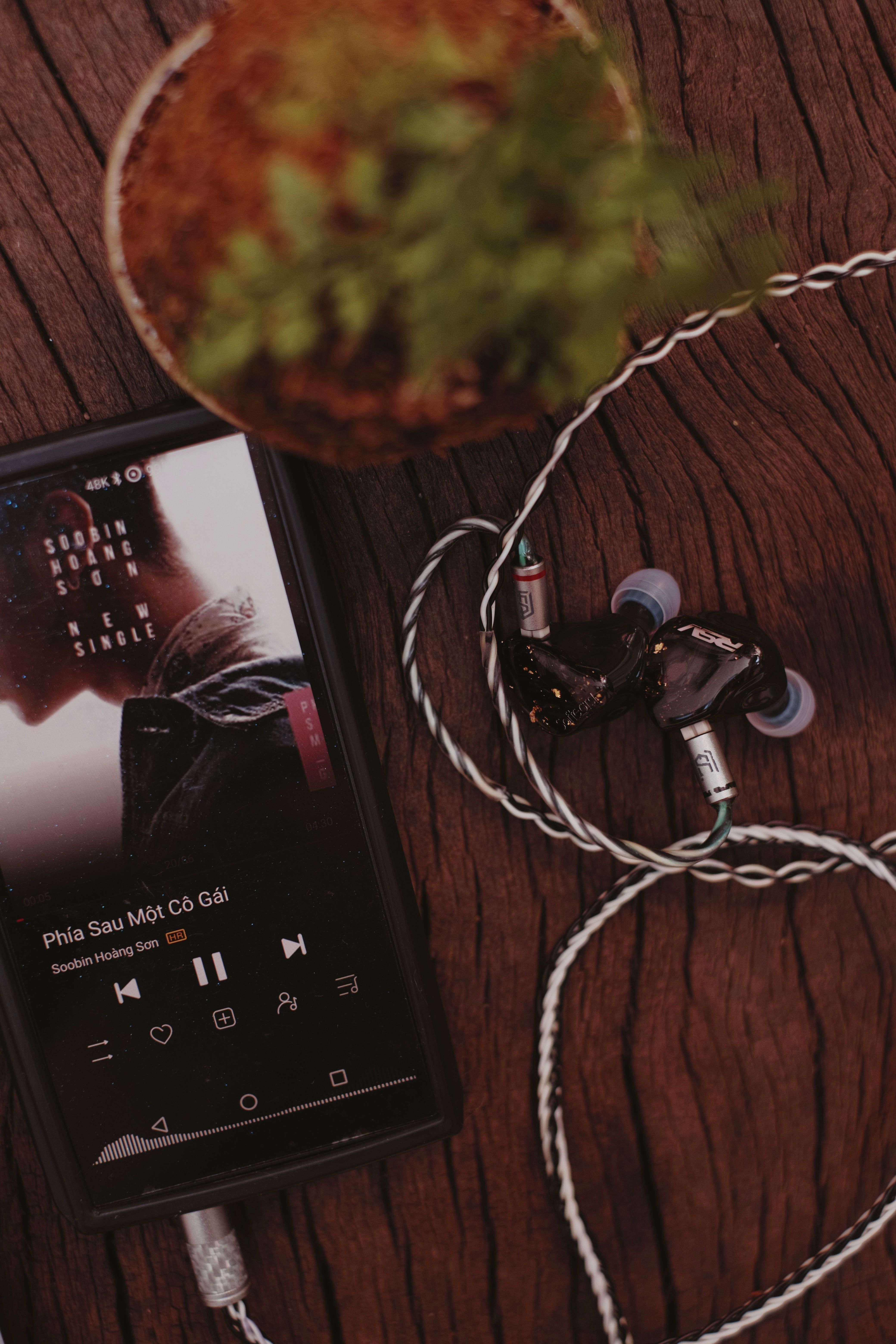 A smartphone and earphones on a rustic wooden table next to a small plant.
