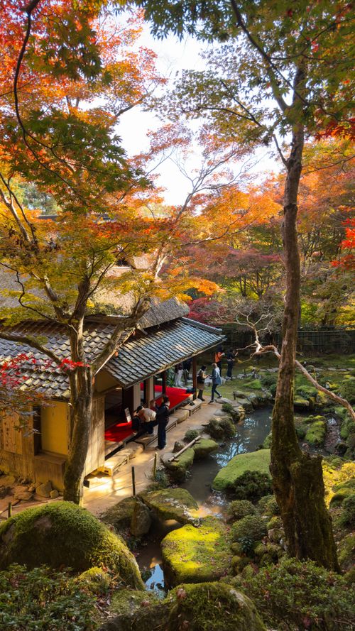 Free Beautiful Japanese tea house surrounded by vibrant autumn foliage in Japan Stock Photo