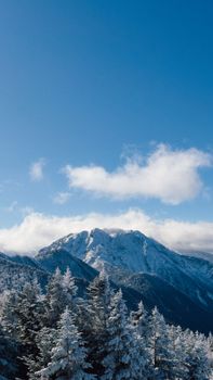 Breathtaking view of snow-covered mountains and pine trees under a clear blue sky in Japan.