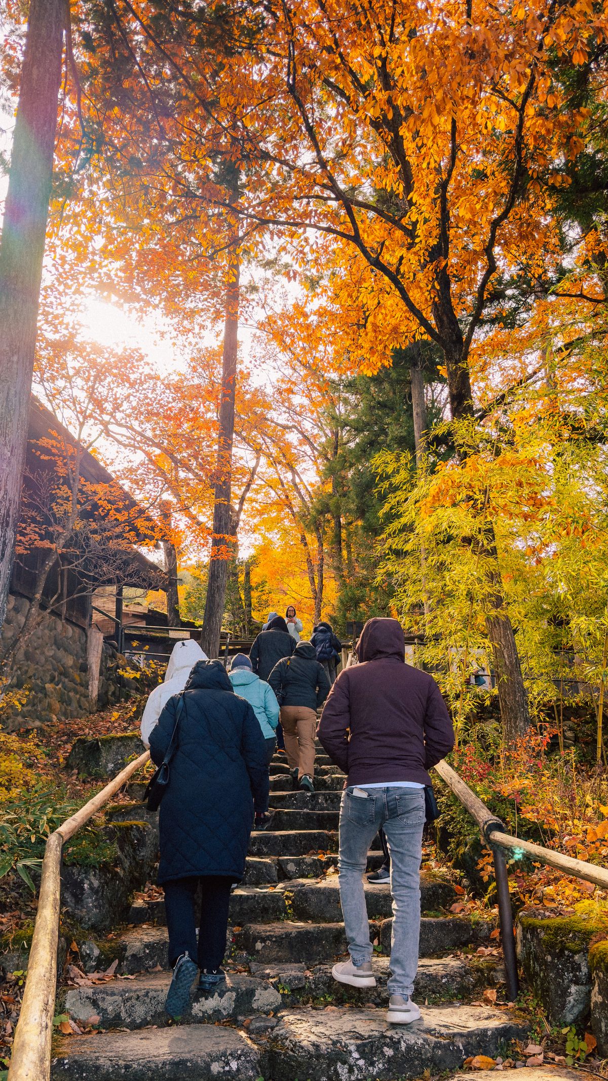 Visitors climbing the stone staircase surrounded by vivid autumn foliage at a Japanese mountain temple
