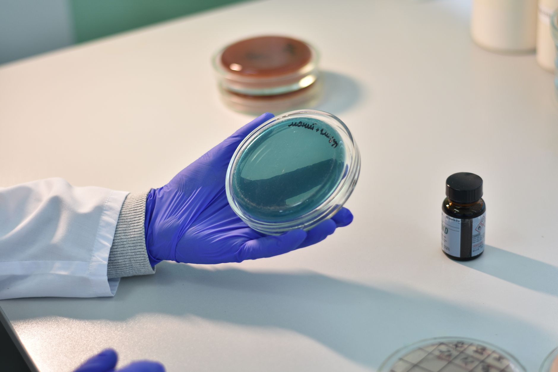 Cell and gene therapy approvals speed up. What does it mean for your practice?
