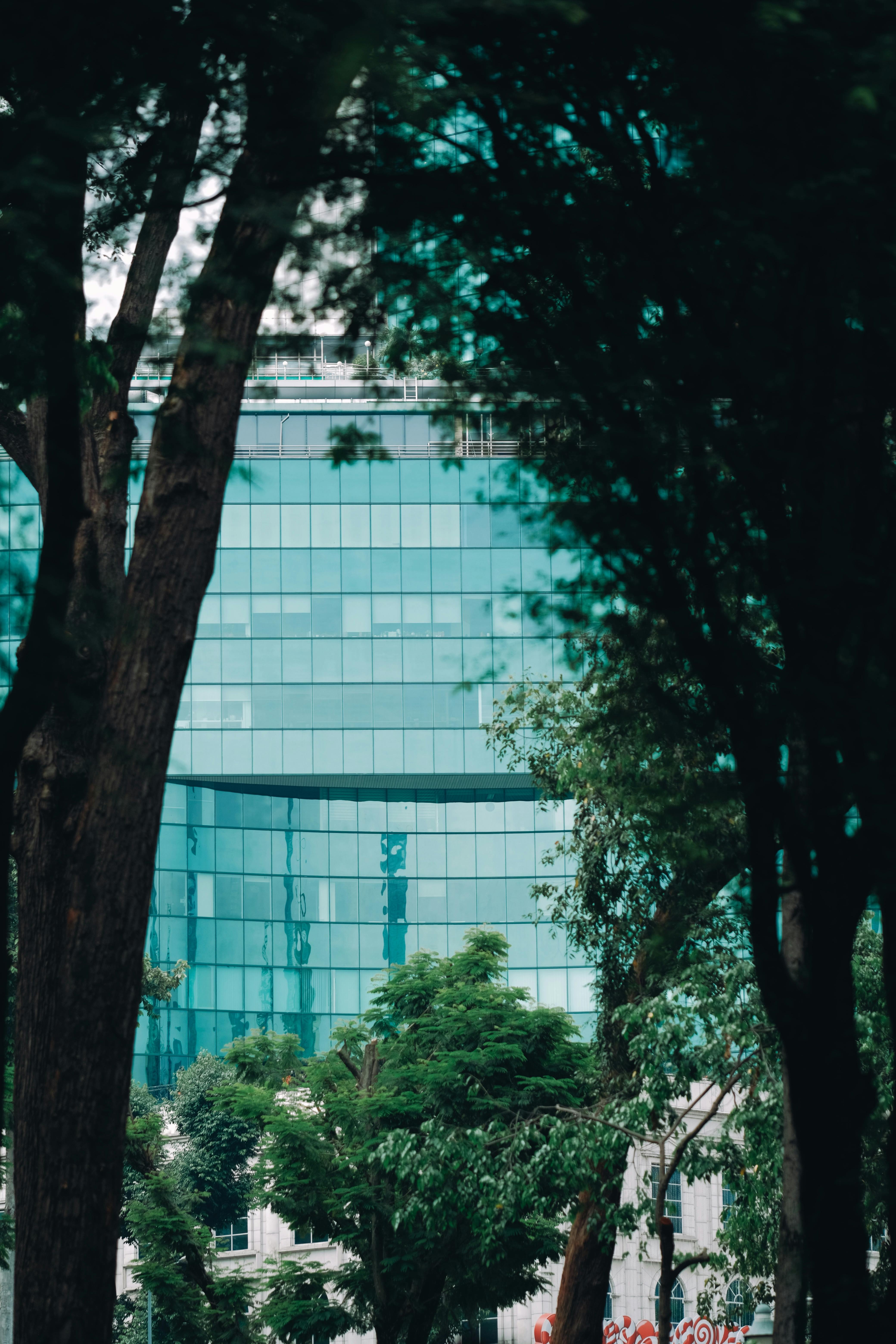 grátis Vista de um elegante edifício de vidro emoldurado por árvores exuberantes que formam um dossel natural. Foto profissional