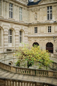 Beautiful courtyard in autumn at the Louvre, Paris, showcasing classic architecture and seasonal foliage.