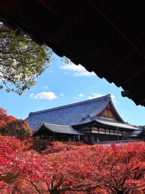 Free Stunning view of a traditional Japanese temple in Kyoto surrounded by vibrant autumn leaves. Stock Photo