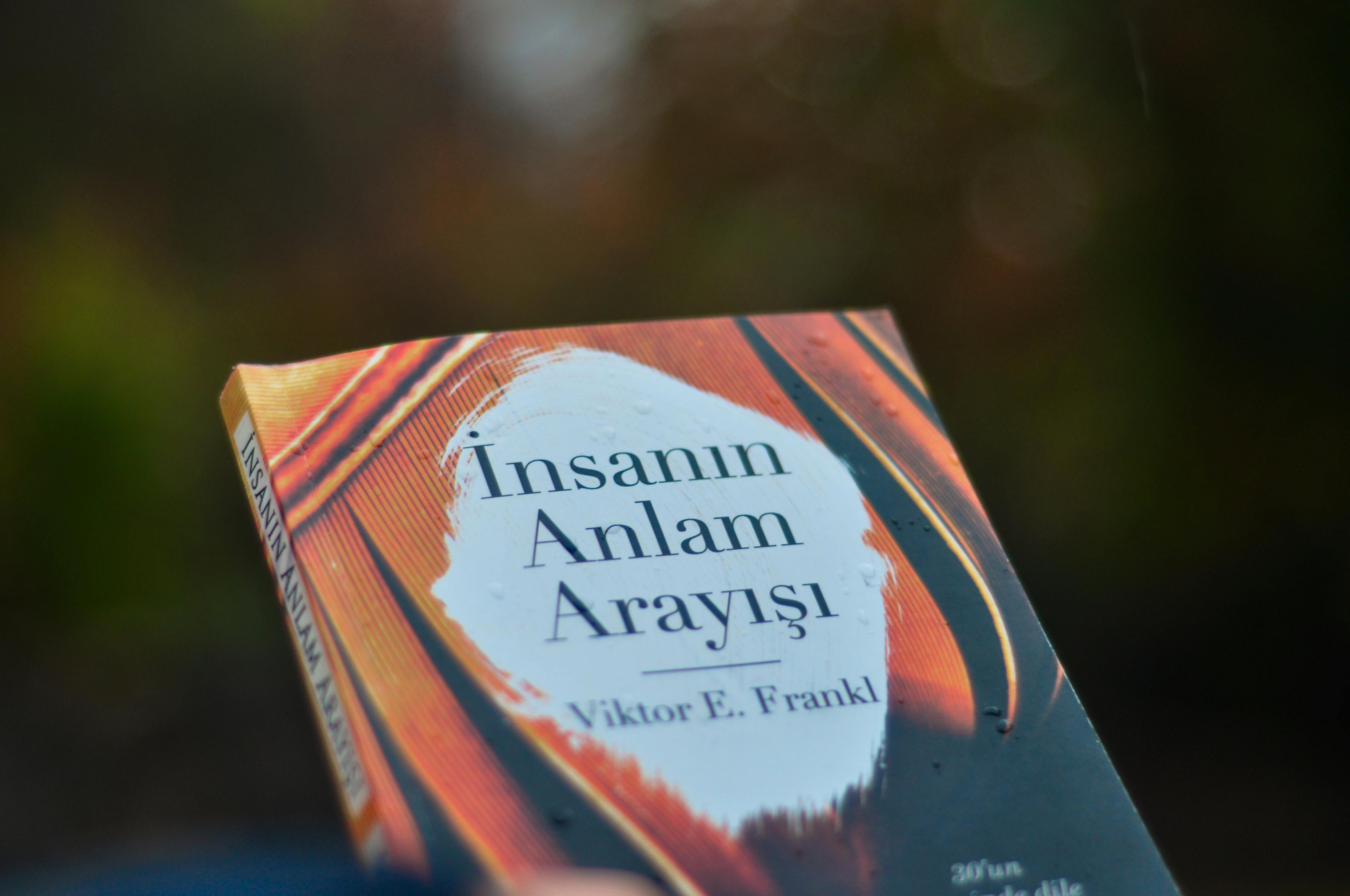 Krisis Makna dan Tujuan: Pencarian Arti di Dunia Tanpa Kompas