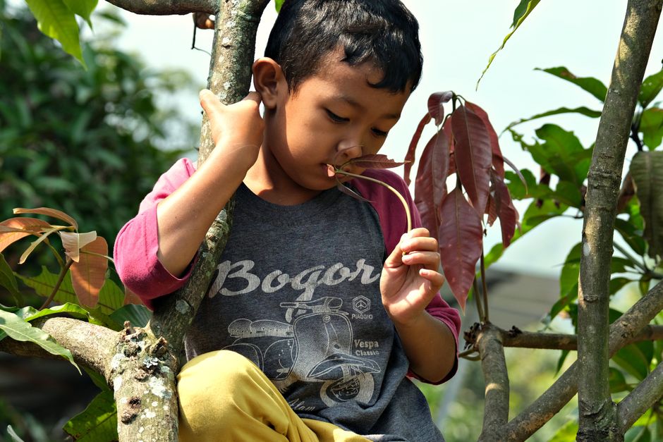 Childhood years filled with joy and discovery