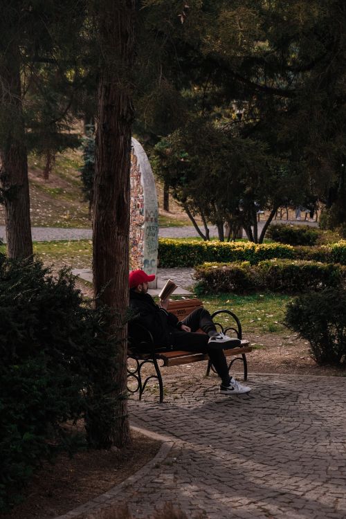 Free Adult man in a red cap reading on a park bench surrounded by trees. Stock Photo