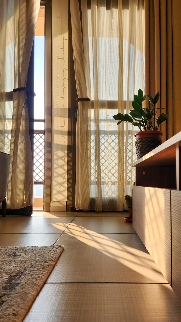 A serene indoor view featuring soft sunlight streaming through sheer curtains onto a cozy room.