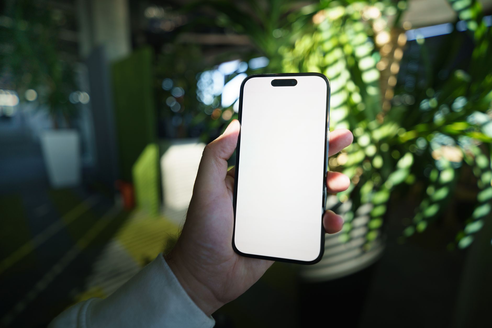 A person holding a smartphone with a blank screen in a bright, modern office with greenery.