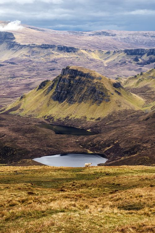 Free Breathtaking view of Scottish Highlands with a lake and lone sheep in the foreground. Stock Photo