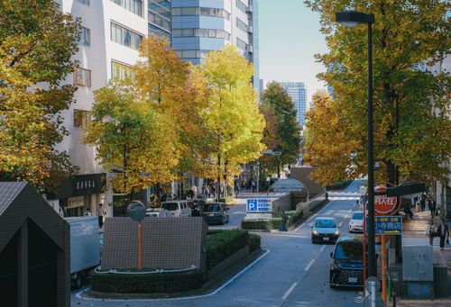 Free Vibrant autumn city street with people and traffic in a bustling urban environment. Stock Photo