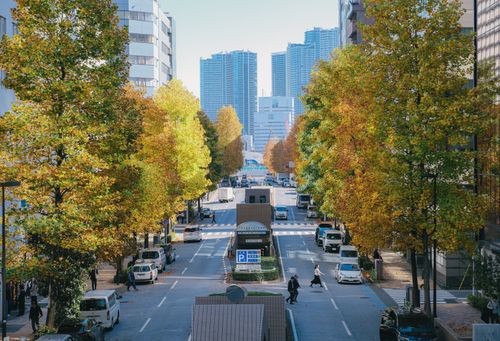 Free City street view with autumn foliage and skyscrapers in Tokyo. Stock Photo