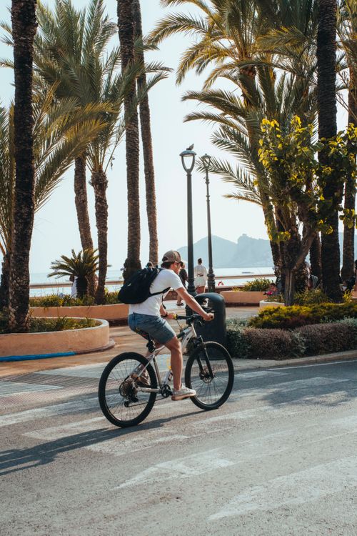 Free A cyclist leisurely rides along a palm-lined coastal boulevard on a sunny day. Stock Photo