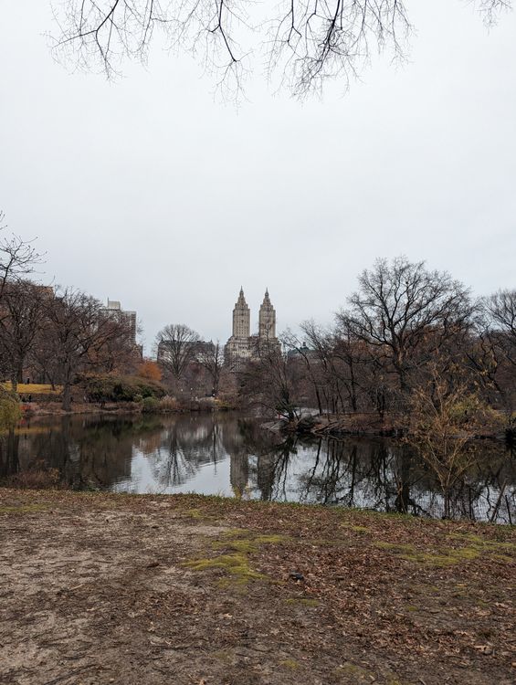 Scenic View of Central Park in Late Fall · Free Stock Photo