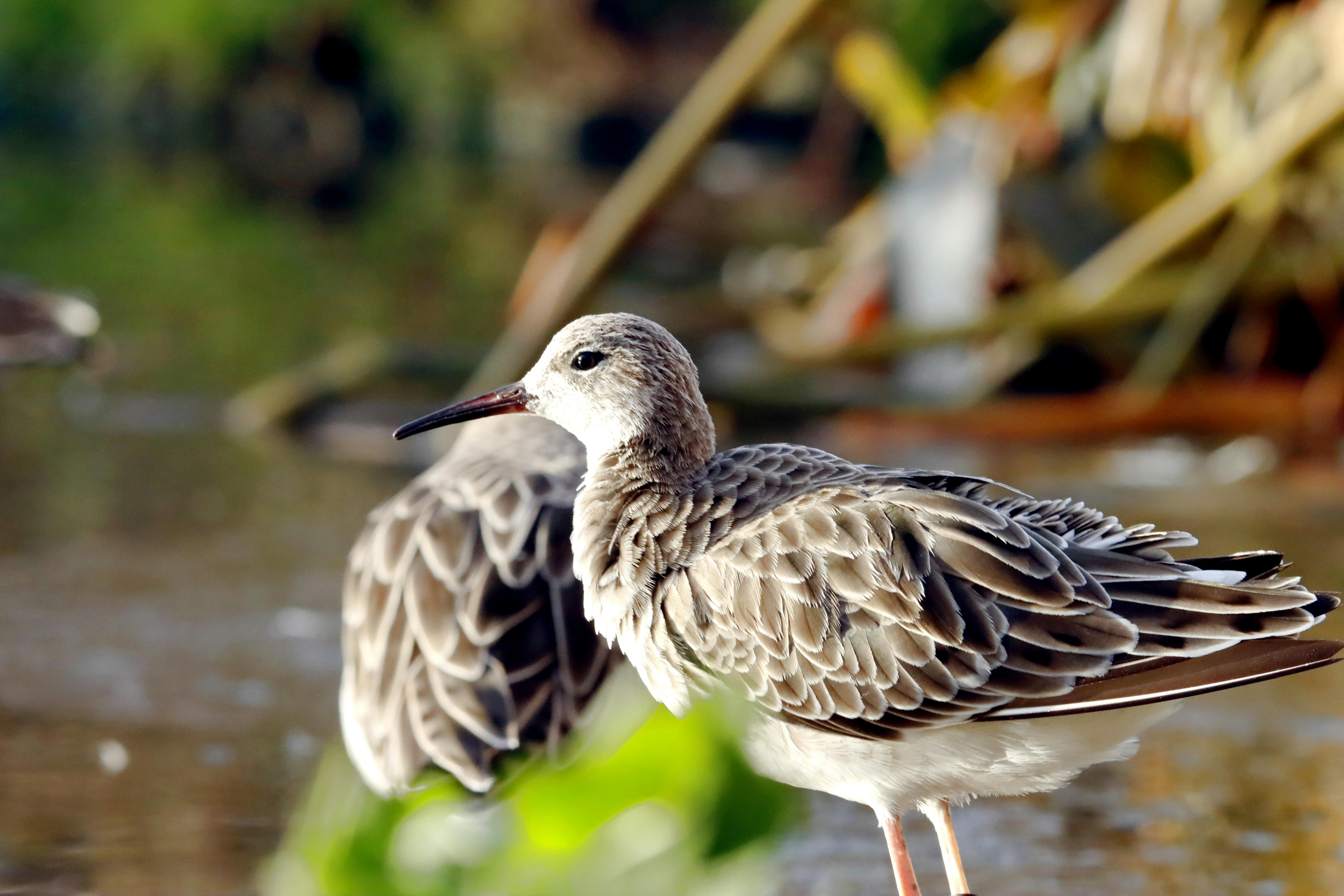 Future Predictions Through Intuition: Unlocking Your Inner Wisdom