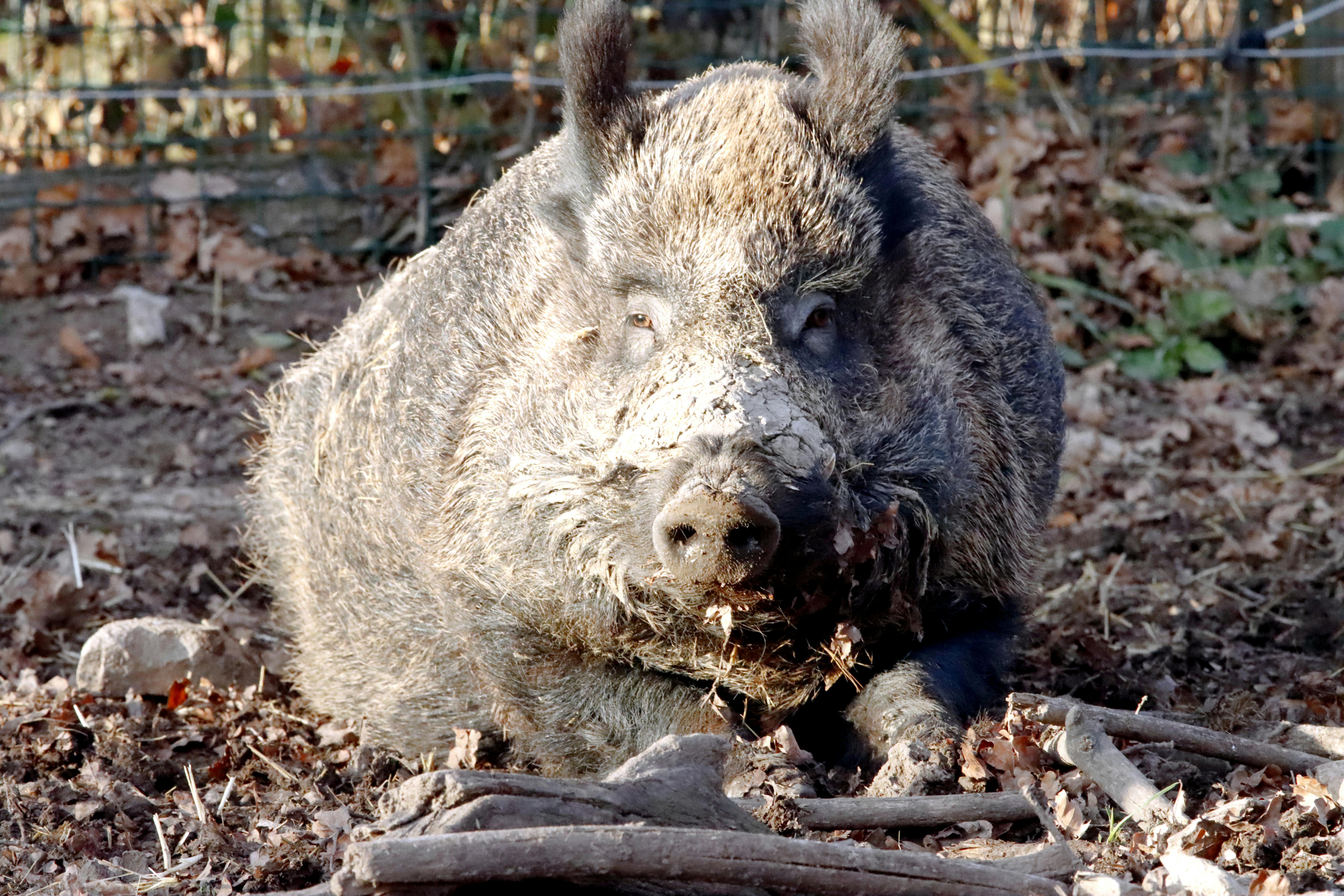 國際：全球多國攜手應對氣候變遷，達成新減排共識