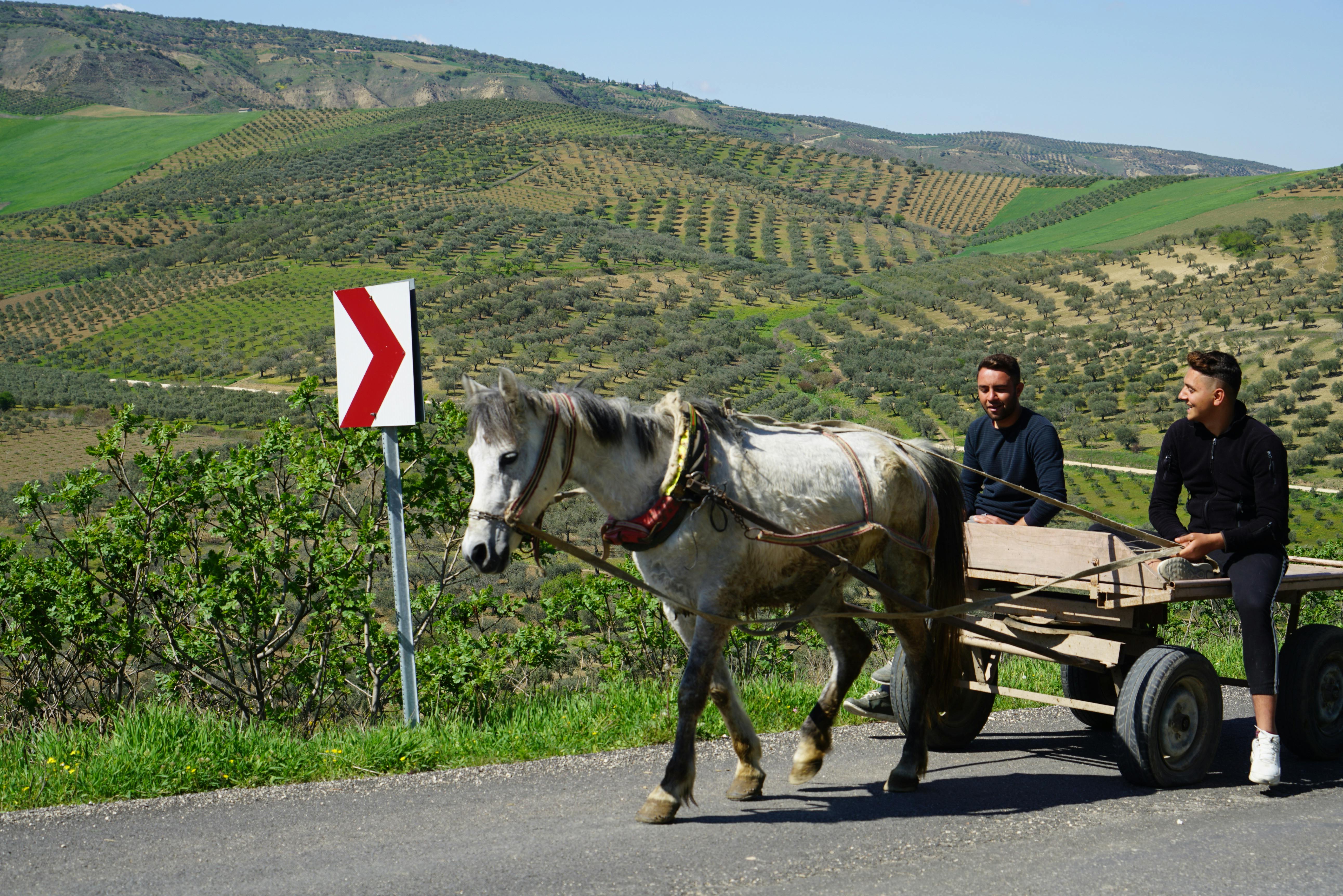 國際男性健康月 醫師呼籲早篩攝護腺癌降低治療難度